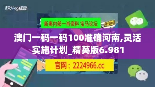 澳门一码一码100准确河南,灵活实施计划_精英版6.981