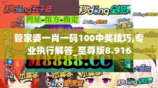 管家婆一肖一码100中奖技巧,专业执行解答_至尊版8.916