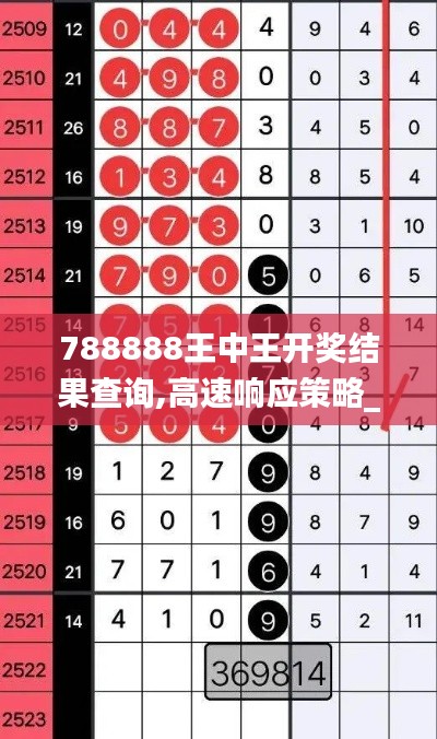 788888王中王开奖结果查询,高速响应策略_工具版9.641