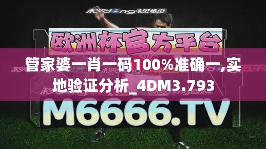 管家婆一肖一码100%准确一,实地验证分析_4DM3.793