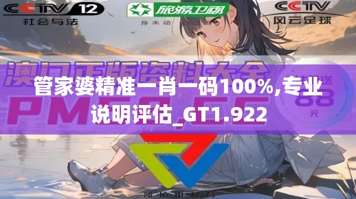 管家婆精准一肖一码100%,专业说明评估_GT1.922