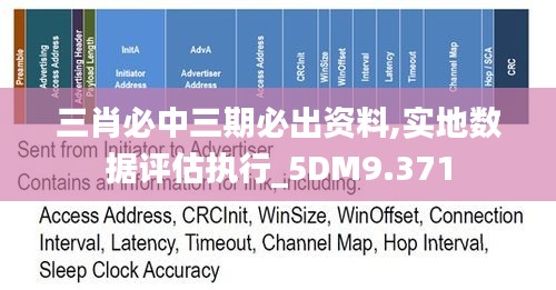 三肖必中三期必出资料,实地数据评估执行_5DM9.371