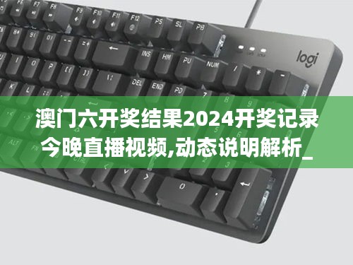 澳门六开奖结果2024开奖记录今晚直播视频,动态说明解析_网页版18.110