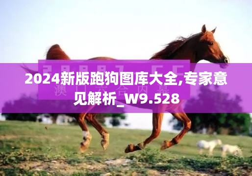 2024新版跑狗图库大全,专家意见解析_W9.528