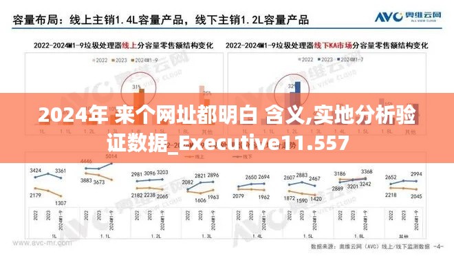 2024年 来个网址都明白 含义,实地分析验证数据_Executive11.557