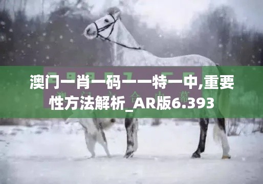 澳门一肖一码一一特一中,重要性方法解析_AR版6.393