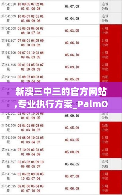 新澳三中三的官方网站,专业执行方案_PalmOS3.963