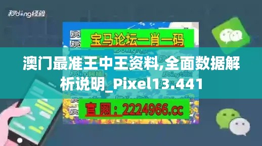 澳门最准王中王资料,全面数据解析说明_Pixel13.441