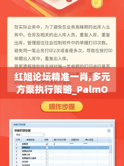 红姐论坛精准一肖,多元方案执行策略_PalmOS13.770