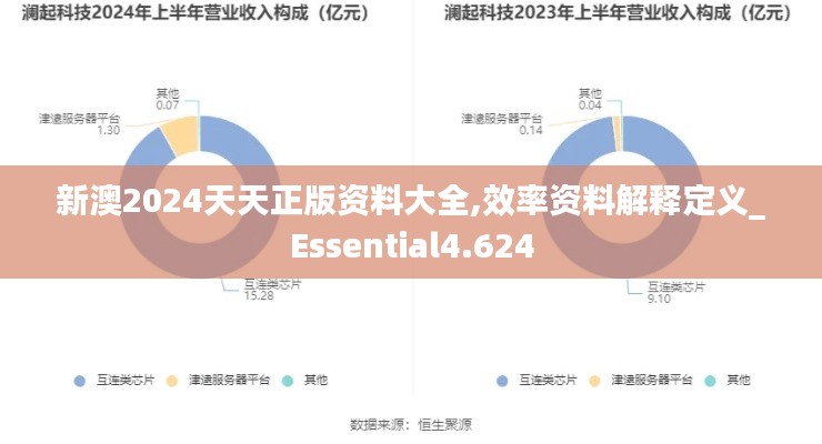 新澳2024天天正版资料大全,效率资料解释定义_Essential4.624