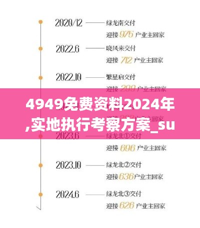 4949免费资料2024年,实地执行考察方案_suite10.843