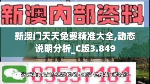 新澳门天天免费精准大全,动态说明分析_C版3.849