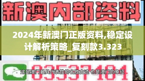 2024年新澳门正版资料,稳定设计解析策略_复刻款3.323