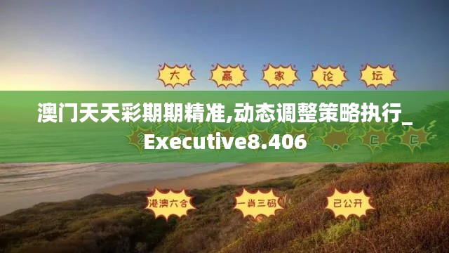 澳门天天彩期期精准,动态调整策略执行_Executive8.406