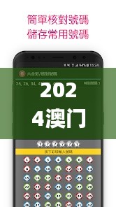 2024澳门天天彩六开彩免费图,数据导向实施步骤_特供版11.476