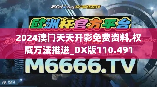 2024澳门天天开彩免费资料,权威方法推进_DX版110.491