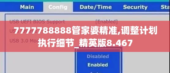 7777788888管家婆精准,调整计划执行细节_精英版8.467