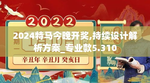 2024特马今晚开奖,持续设计解析方案_专业款5.310