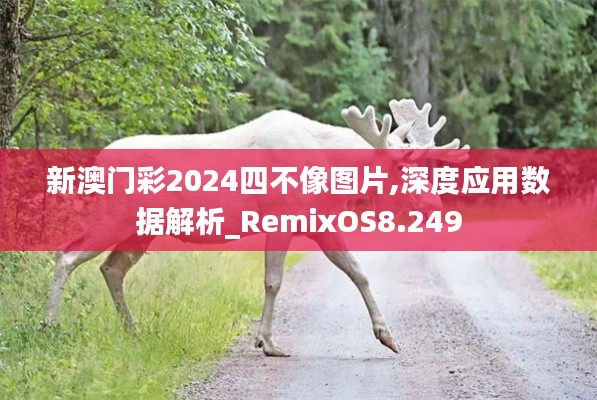 新澳门彩2024四不像图片,深度应用数据解析_RemixOS8.249