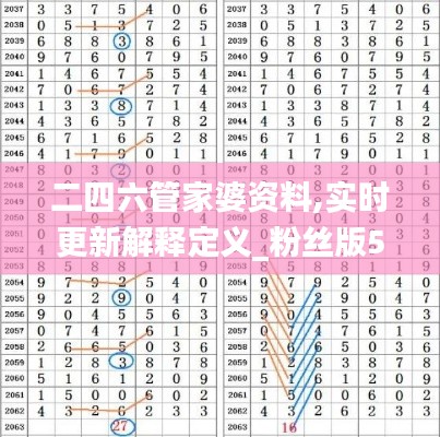 二四六管家婆资料,实时更新解释定义_粉丝版5.969