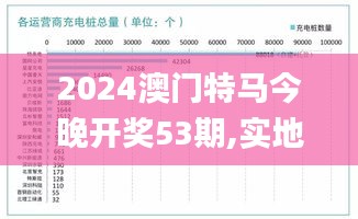 2024澳门特马今晚开奖53期,实地数据验证分析_MP7.712