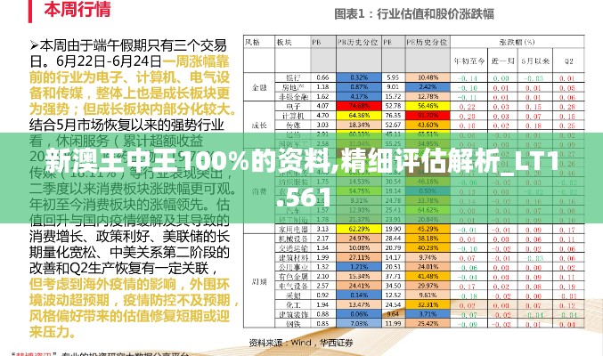 新澳王中王100%的资料,精细评估解析_LT1.561