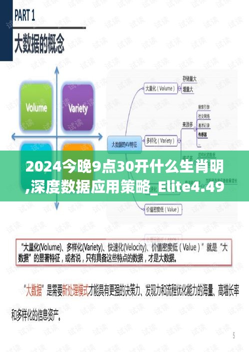 2024今晚9点30开什么生肖明,深度数据应用策略_Elite4.494