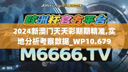 2024新澳门天天彩期期精准,实地分析考察数据_WP10.679