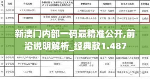 新澳门内部一码最精准公开,前沿说明解析_经典款1.487