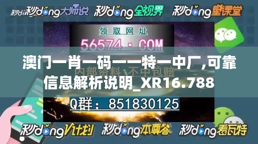 澳门一肖一码一一特一中厂,可靠信息解析说明_XR16.788