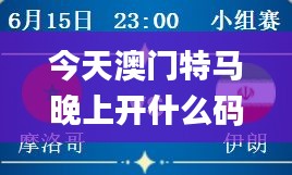 今天澳门特马晚上开什么码,重要性方法解析_Galaxy9.194