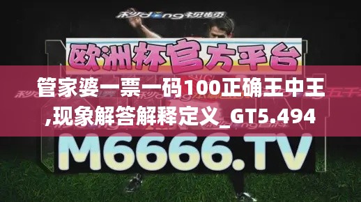 管家婆一票一码100正确王中王,现象解答解释定义_GT5.494