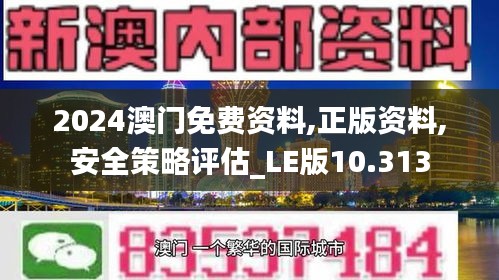 2024澳门免费资料,正版资料,安全策略评估_LE版10.313