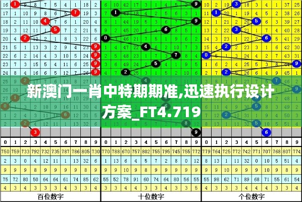 新澳门一肖中特期期准,迅速执行设计方案_FT4.719