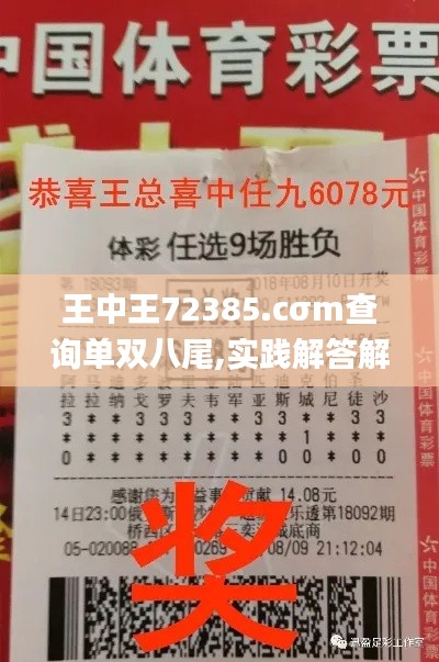 王中王72385.cσm查询单双八尾,实践解答解释定义_社交版5.965