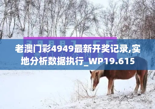 老澳门彩4949最新开奖记录,实地分析数据执行_WP19.615