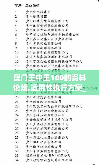 澳门王中王100的资料论坛,适用性执行方案_界面版7.421