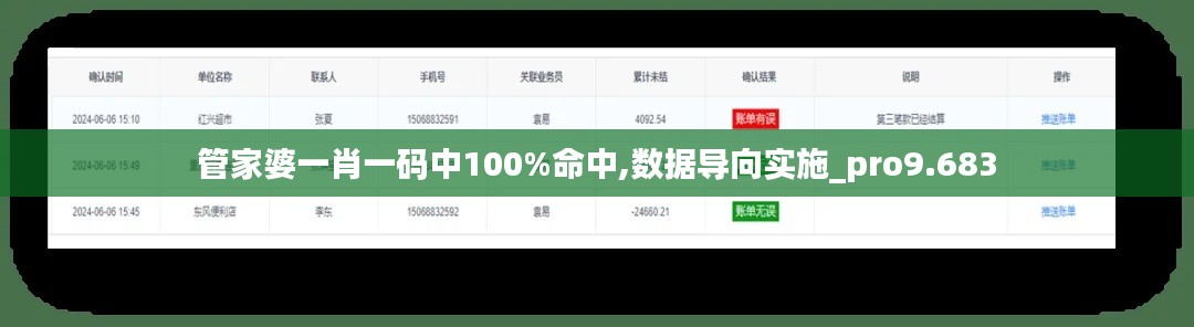 管家婆一肖一码中100%命中,数据导向实施_pro9.683