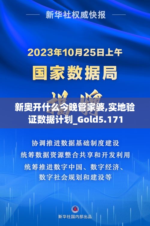 新奥开什么今晚管家婆,实地验证数据计划_Gold5.171