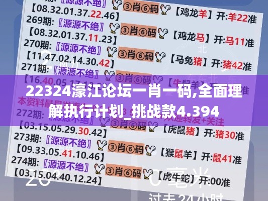 22324濠江论坛一肖一码,全面理解执行计划_挑战款4.394