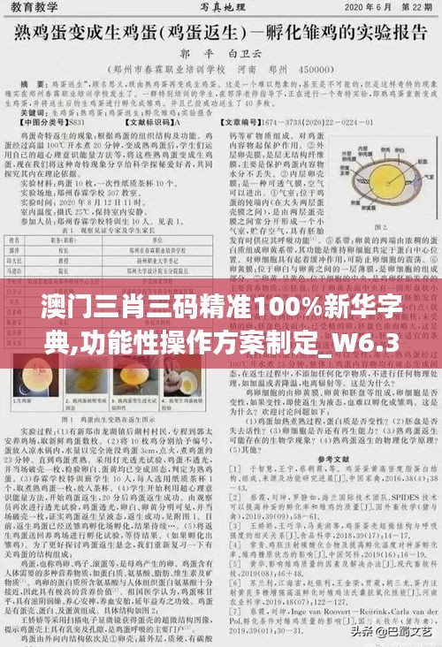 澳门三肖三码精准100%新华字典,功能性操作方案制定_W6.331