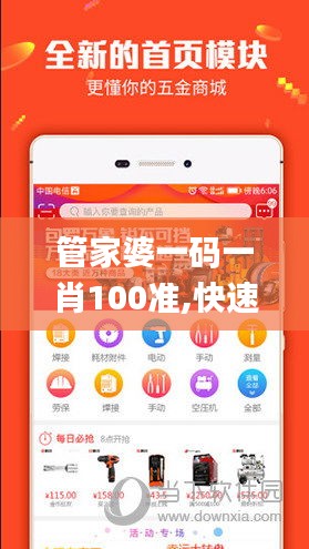 管家婆一码一肖100准,快速设计响应方案_视频版2.421