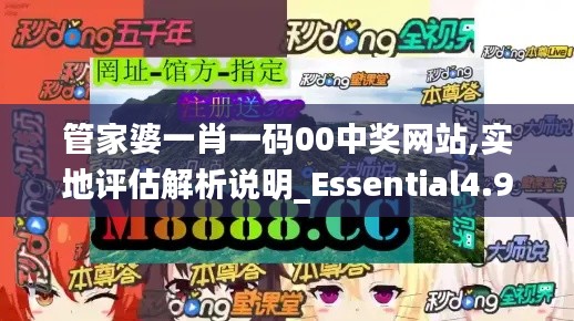 管家婆一肖一码00中奖网站,实地评估解析说明_Essential4.905