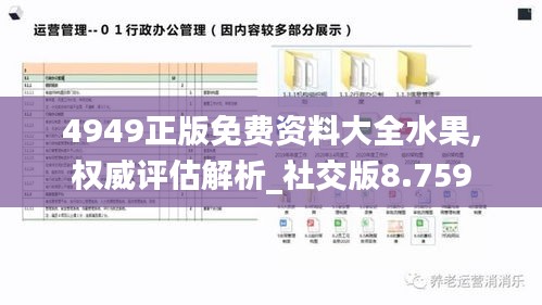 4949正版免费资料大全水果,权威评估解析_社交版8.759