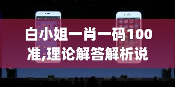 白小姐一肖一码100准,理论解答解析说明_macOS6.394