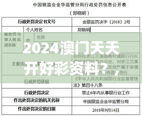 2024澳门天天开好彩资料？,实地方案验证策略_进阶版16.229