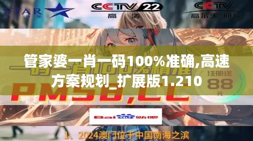 管家婆一肖一码100%准确,高速方案规划_扩展版1.210