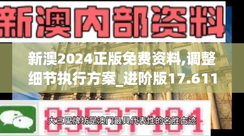 新澳2024正版免费资料,调整细节执行方案_进阶版17.611