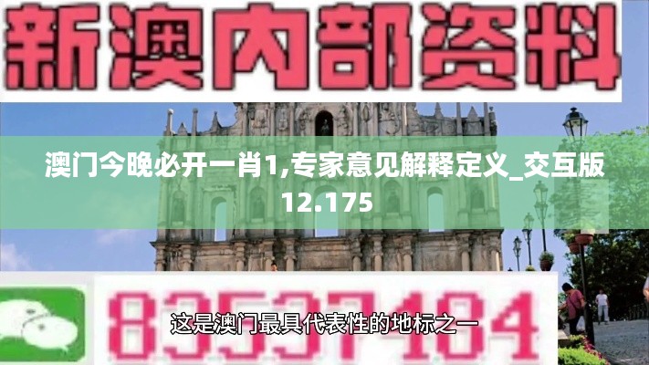 澳门今晚必开一肖1,专家意见解释定义_交互版12.175