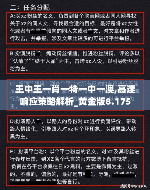 王中王一肖一特一中一澳,高速响应策略解析_黄金版8.175